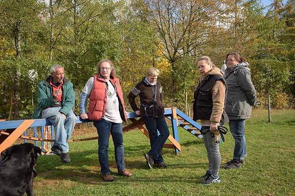 med_Mal ohne Hunde.jpg (600 x 400)